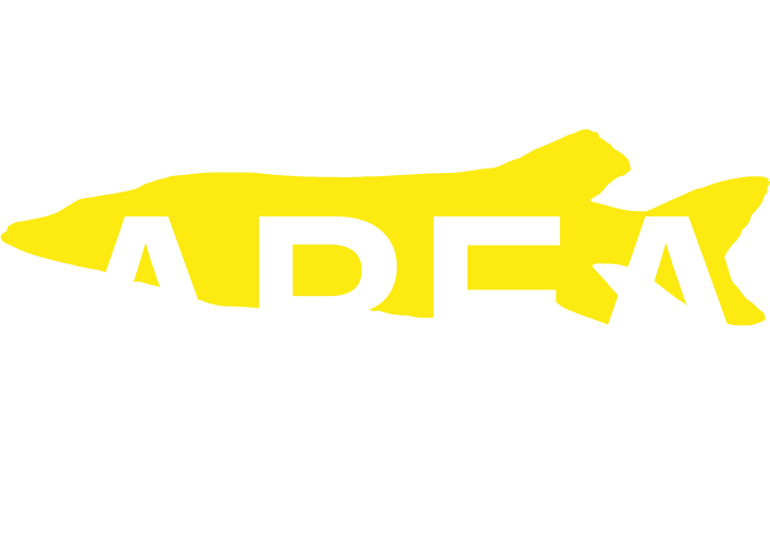 Logo PIKE AREA