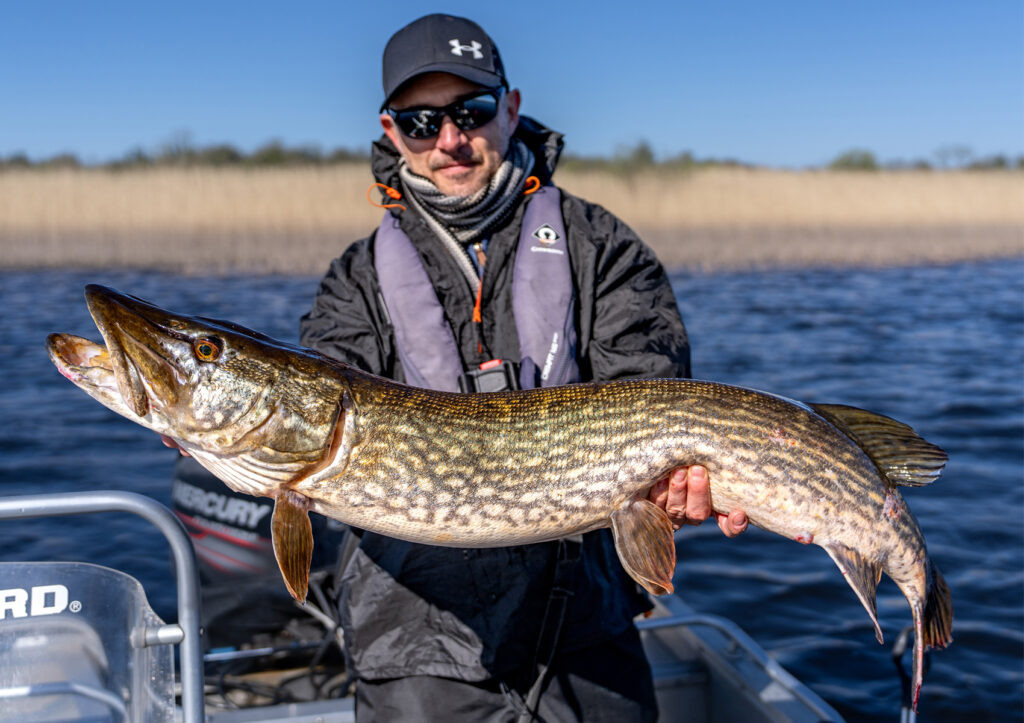 photo d'un brochet géant prit en riviere irlandaise